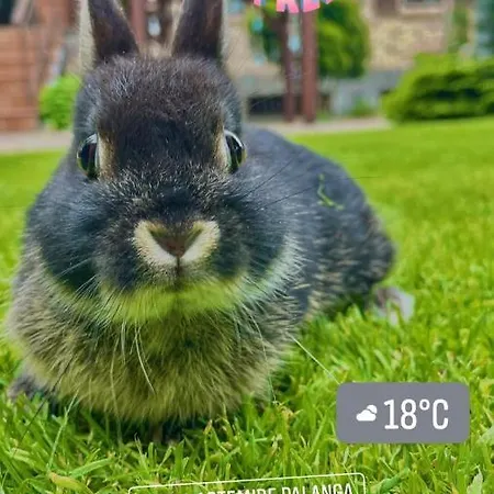 Vila Boutique Artemide