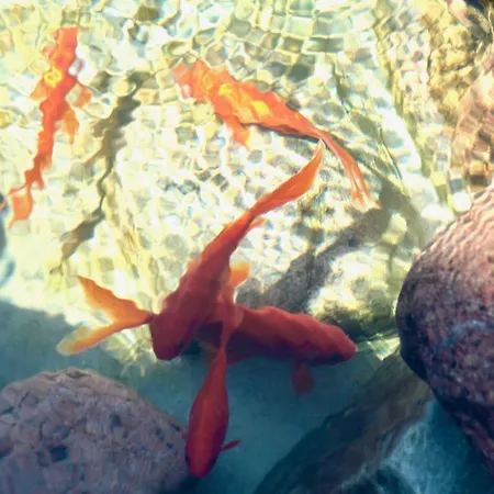 Boutique Artemide Vila