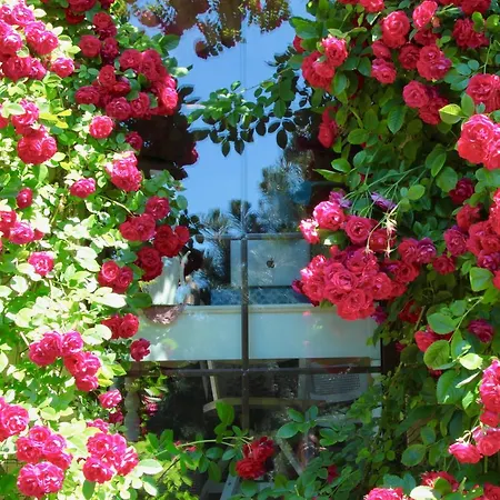 Вілла Boutique Artemide Паланга