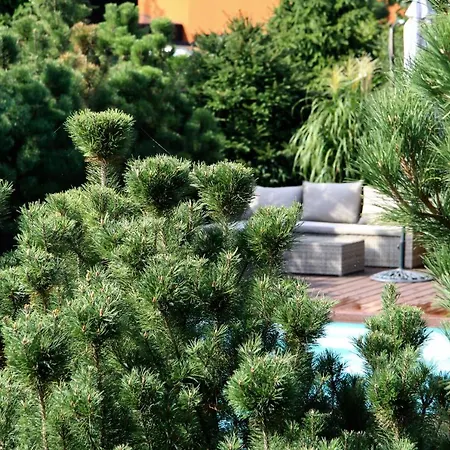 Vila Boutique Artemide