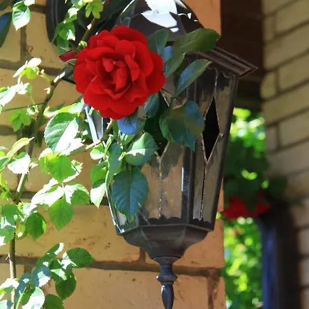 Boutique Artemide Вілла Паланга