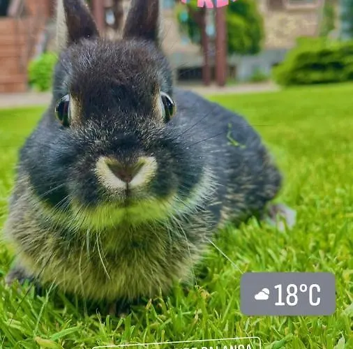 וילה Boutique Artemide