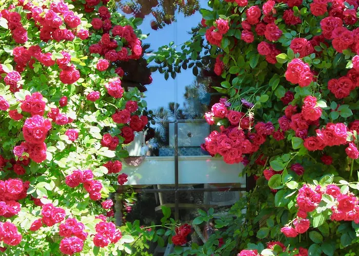 וילה Boutique Artemide פלאנגה