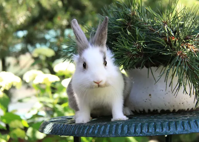 וילה Boutique Artemide *