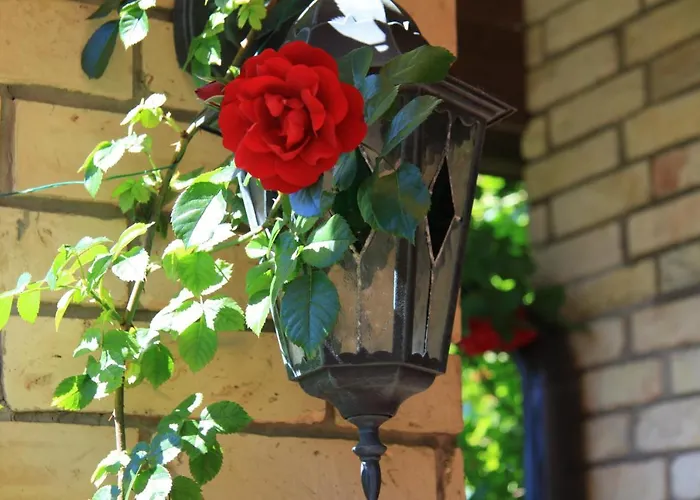 Boutique Artemide וילה פלאנגה